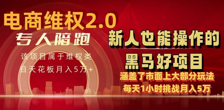 电商维权 4.0 如何做到月入 5 万+每天 1 小时新人也能快速上手【仅揭秘】