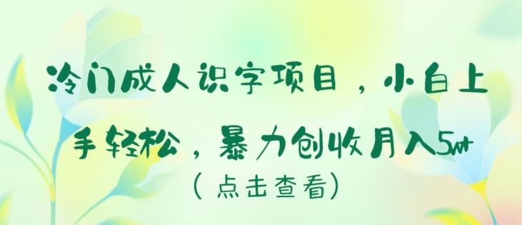 冷门成人识字项目，小白上手轻松，暴力创收月入5w+【揭秘】